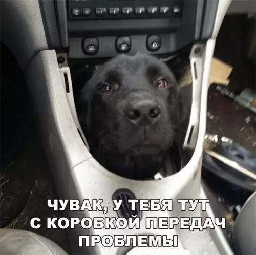 Смешная картинка №212510