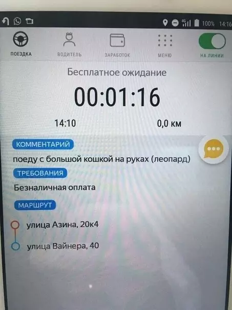 Смешная картинка №537063 Бoльшaя киca