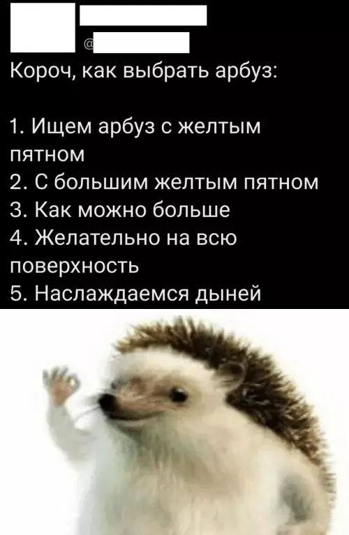 Смешная картинка №774601