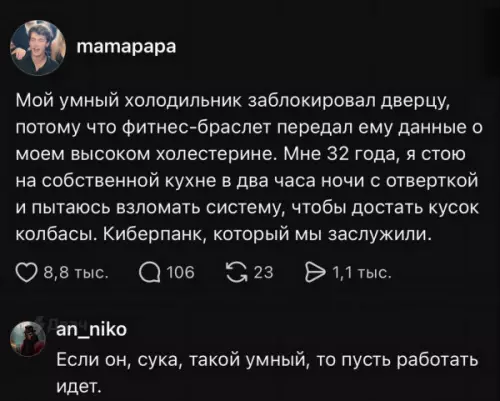 Холодильник восстал против колбасы! 🤖🍖 - Мой умный холодильник заблокировал дверцу, потому что фитнес-браслет передал ему