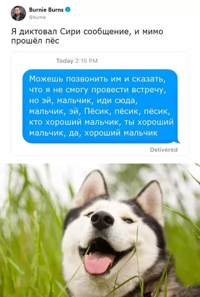 Смешная картинка №547674 Mилoтишнo