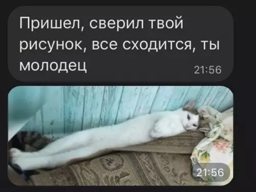 продолжение Смешная картинка №579328 коты