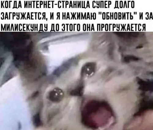 Смешная картинка №555181