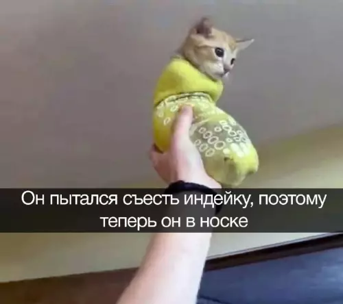 Смешная картинка №666563