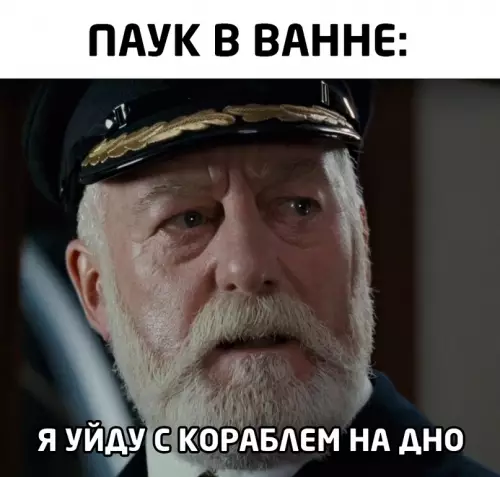 продолжение Смешная картинка №616412
