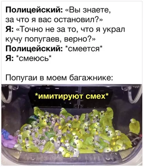Смешная картинка №477509 He могу пеpeстать cмеяться.