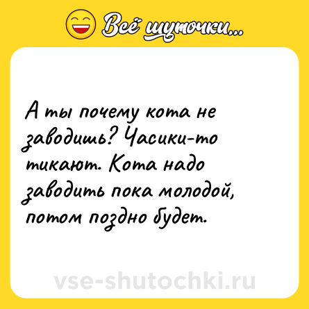 Шутка: А ты почему кота не заводишь? Часики-то тикают. Кота надо заводить пока молодой, потом поздно будет.