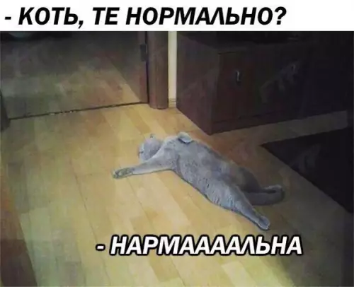 Смешная картинка №181778