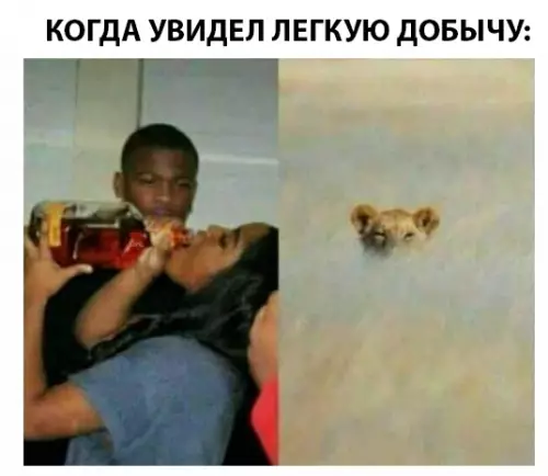 Смешная картинка №294781