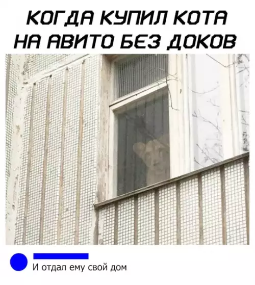 Смешная картинка №388828