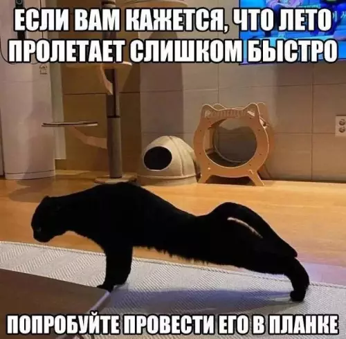 Смешная картинка №822109 Лето