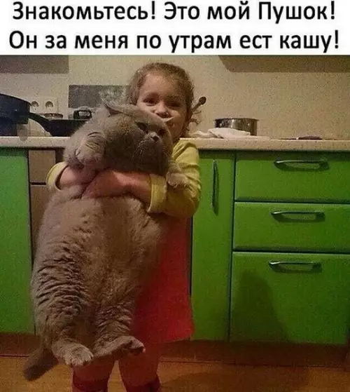 Смешная картинка №368549