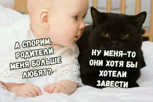 Смешная картинка №251454