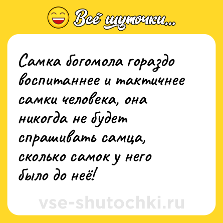 Шутка: Самка богомола гораздо воспитаннее и тактичнее самки человека, она никогда не будет спрашивать самца, сколько самок у него было до неё!