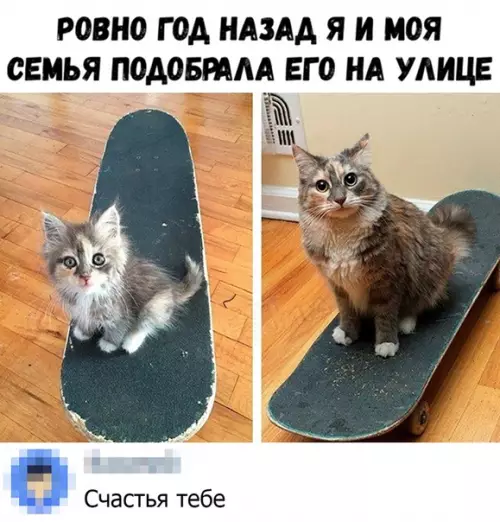 Смешная картинка №372672