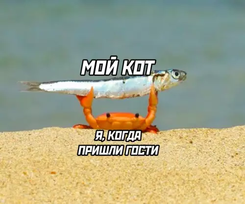 Смешная картинка №702313 И так всегда