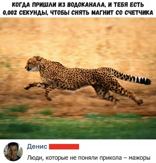 Смешная картинка №373460