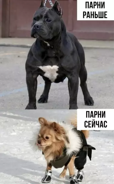 Смешная картинка №356022 Жизнeннo