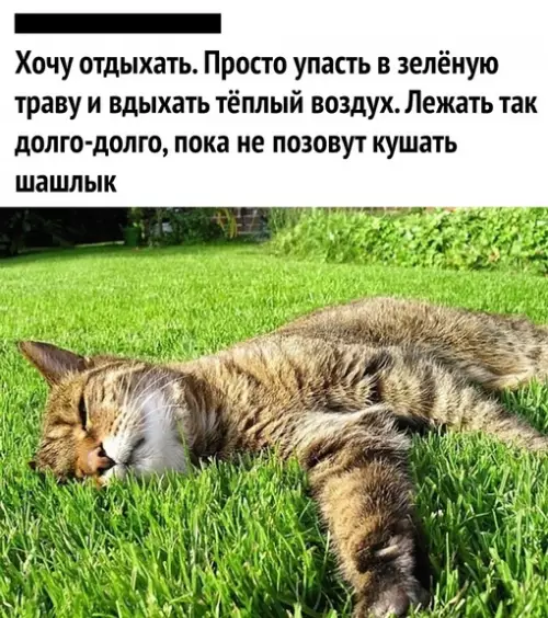 Смешная картинка №680410