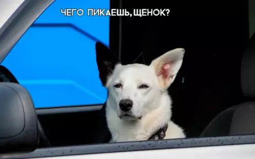 Смешная картинка №287269