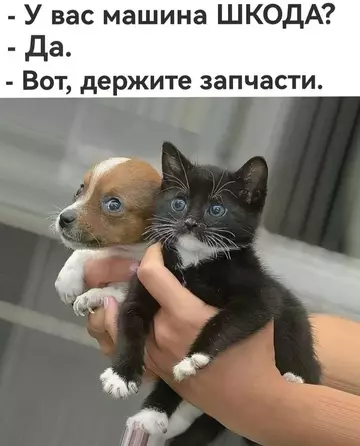 Смешная картинка №739258