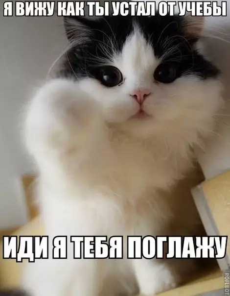 Смешная картинка №256254