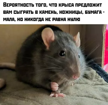 Смешная картинка №802262