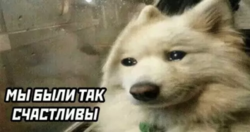 продолжение Смешная картинка №571353