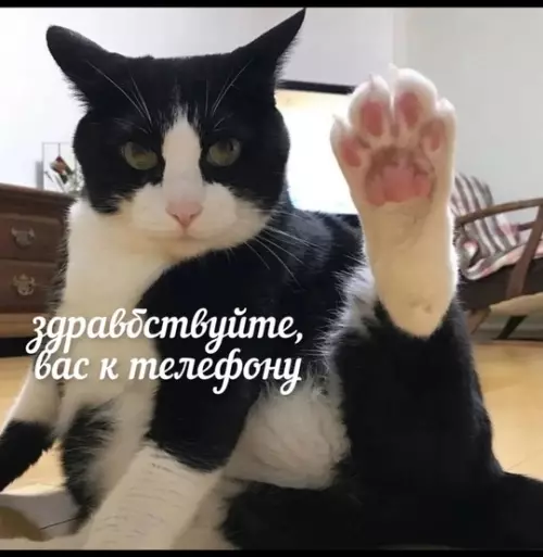 Смешная картинка №774691