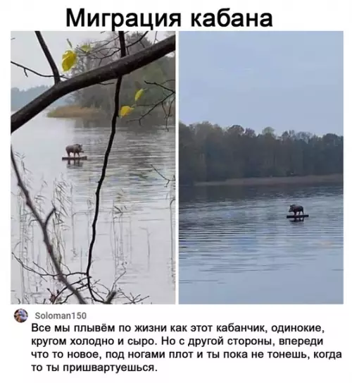 Смешная картинка №537542 У меня много вопросов