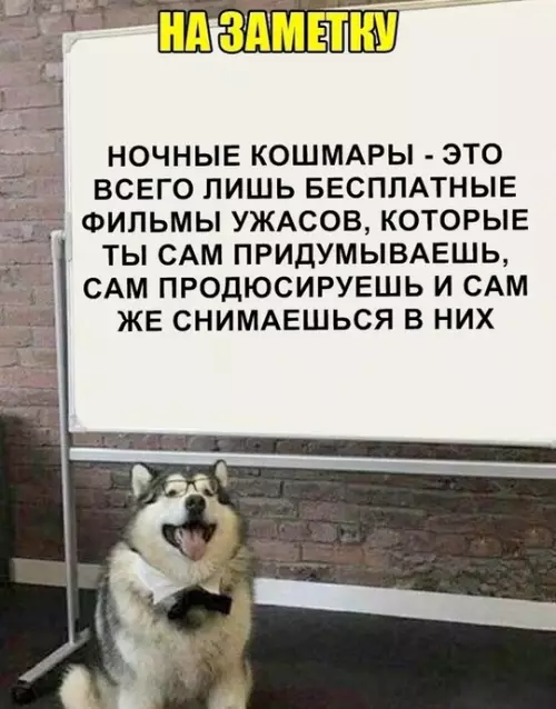 Смешная картинка №751805