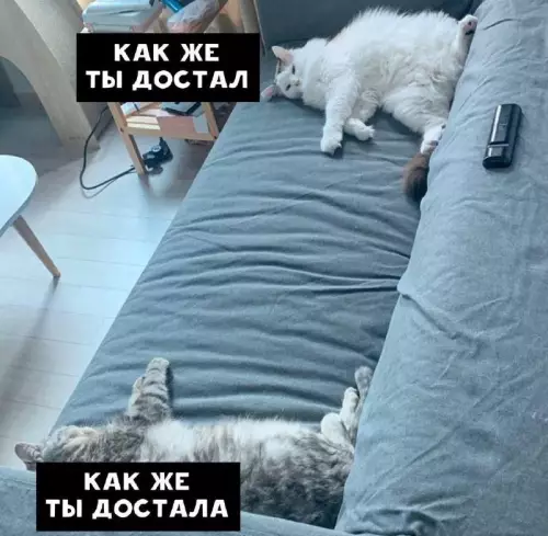 Смешная картинка №715891