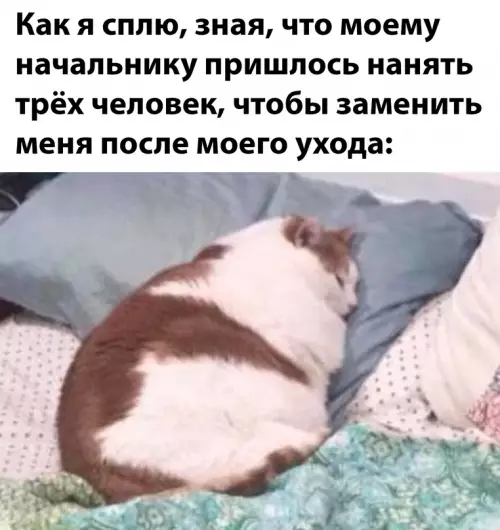 Смешная картинка №698049