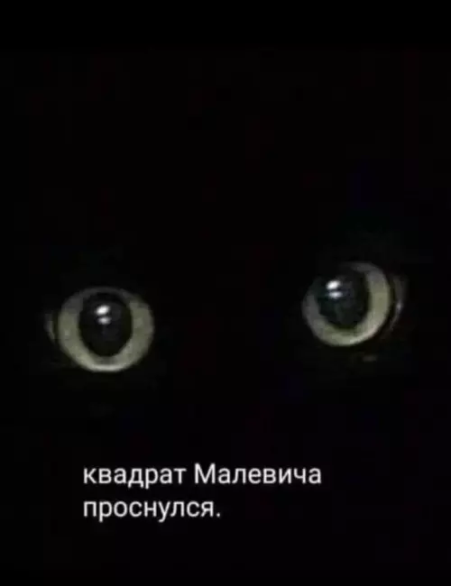 Смешная картинка №672788