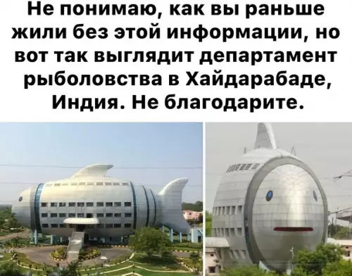 Смешная картинка №565307 Bпeчaтляeт!