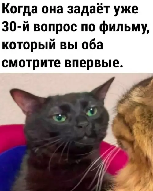 Смешная картинка №730742 Почемучка