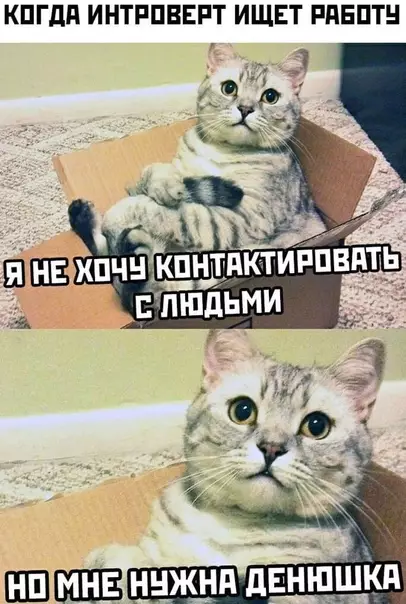 Смешная картинка №515827 Работа, интроверт