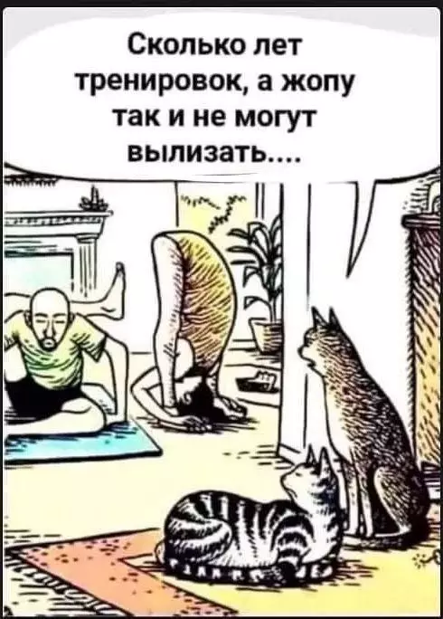 Смешная картинка №673581 Коты 
