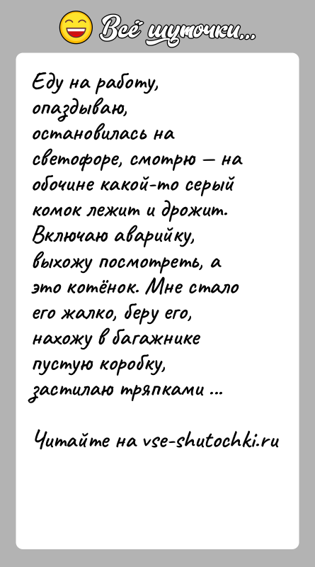 История: Еду на работу, опаздываю, остановилась на светофоре, смотрю на обочине какой-то серый комок лежит и дрожит. Включаю аварийку, выхожу