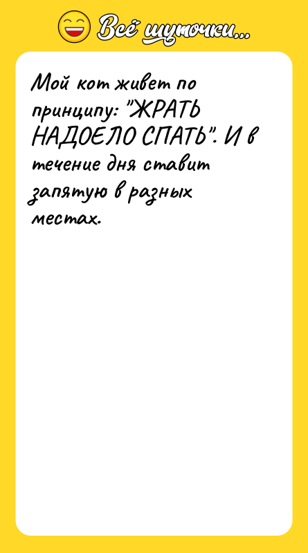 Мой кот живет по принципу: 