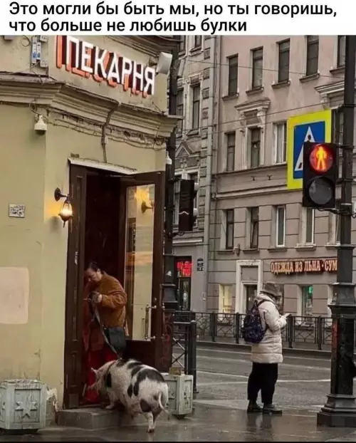 Смешная картинка №772528