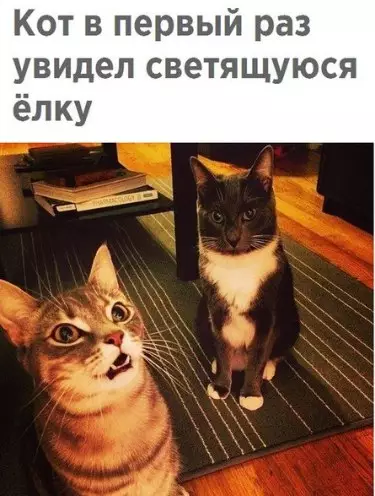 Смешная картинка №228267