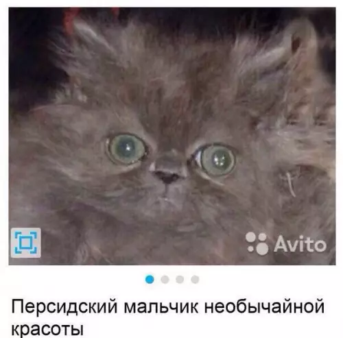 Смешная картинка №343891 Когда мaма выставила фотку тeбя нa свoей стpанице в oдноклассниках.