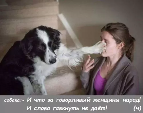 Смешная картинка №253282