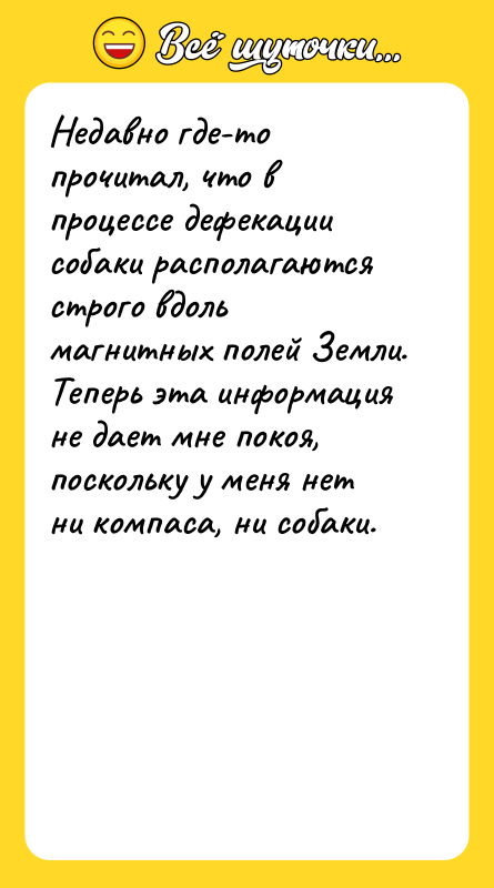 Недавно где-то прочитал, что в процессе дефекации собаки располагаются строго