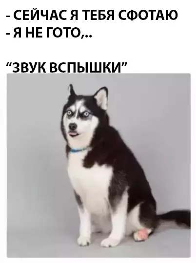 Смешная картинка №294173