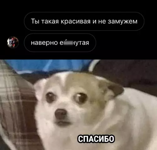 Смешная картинка №671938