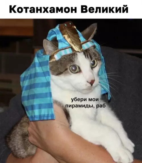 Смешная картинка №760695 Фараоновое
