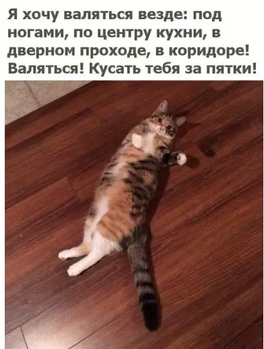 Смешная картинка №215755