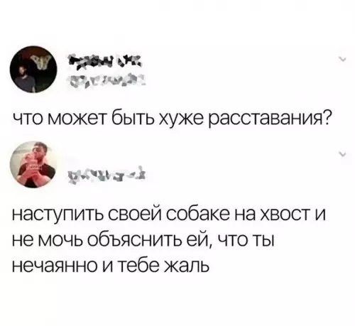Смешная картинка №272649